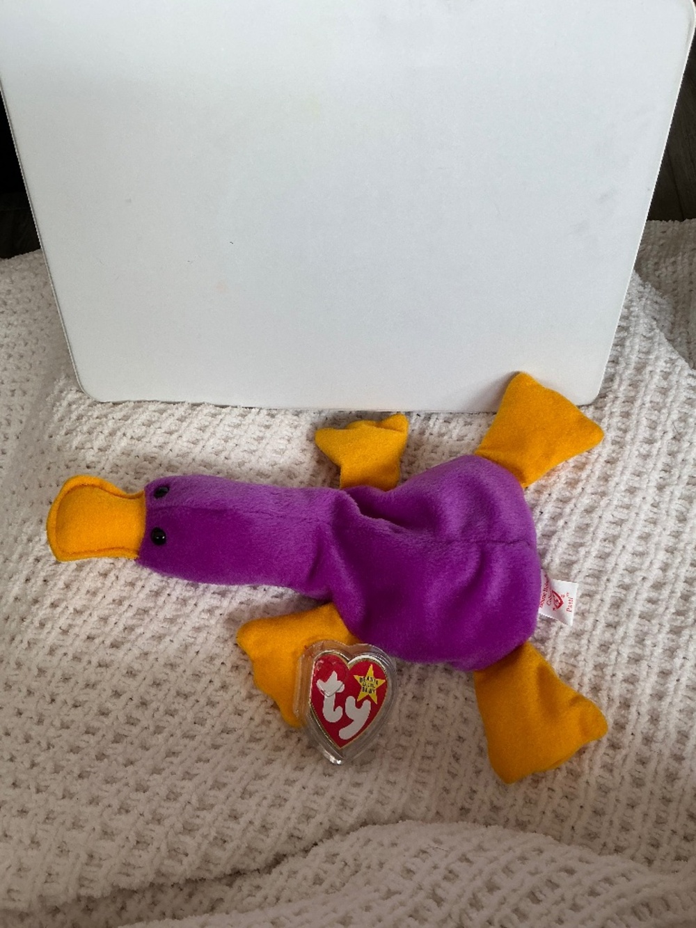 Patty the Platypus (ty Beanie Baby Collection)